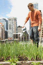 Классический фэн-шуй Классический фэн-шуй